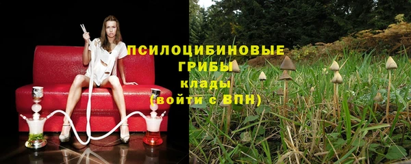 дживик Алексеевка