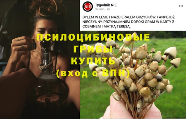 дживик Алексеевка