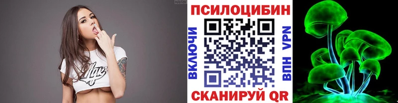 Псилоцибиновые грибы Psilocybine cubensis Лабинск